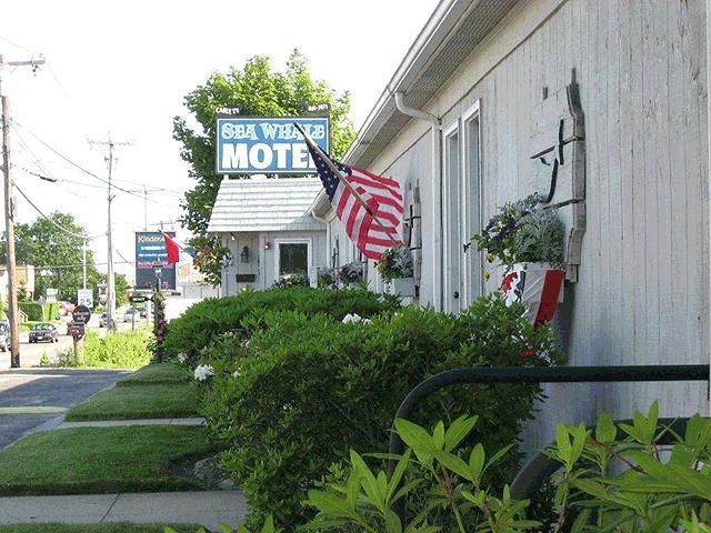 Sea Whale Motel Middletown Exterior foto